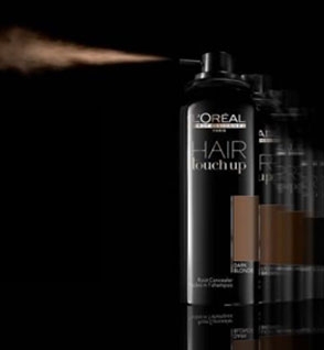 L'Oréal Hair Touch Up