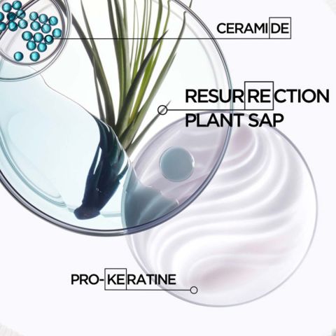 Kérastase - Résistance Bain Force Architecte Reparierendes Shampoo für beschädigtes Haar - 500 ml