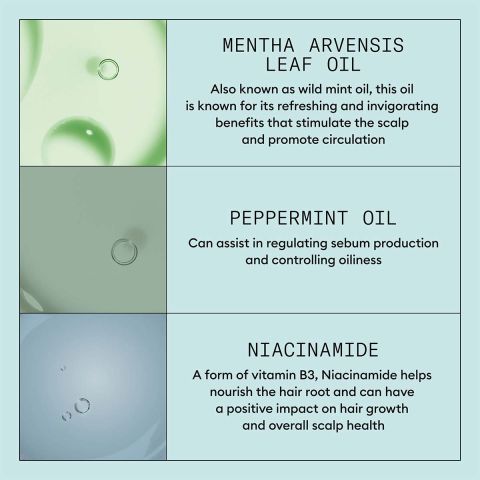 NIOXIN - Scalp Recovery™ Kit