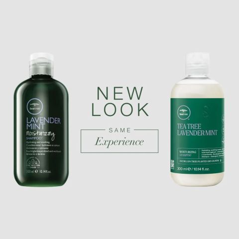 Paul Mitchell Lavender Mint  Shampoo
