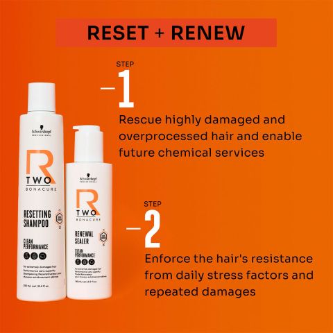 Schwarzkopf - R-TWO - Renewal Sealer - Leave-in Conditioner - 145 ml
