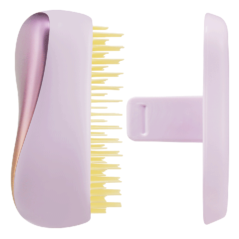 Tangle teezer compact styler hairbrush on sale
