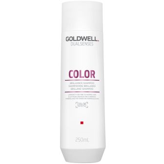 Goldwell Dualsenses Farbe Brilliance Shampoo