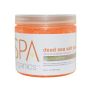 BCL SPA - Dead Sea Salt Soak Mandarin+Mango - 454 gr