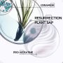 Kérastase - Résistance Bain Force Architecte Reparierendes Shampoo für beschädigtes Haar - 500 ml