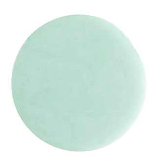 ShampooBars.de - Körper-Riegel - Kiwi