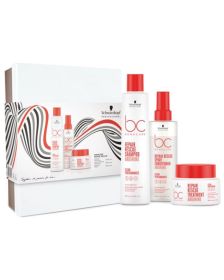 BC - Repair Rescue - Holiday Set