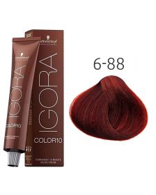Schwarzkopf - Igora - Color 10 - 6-88 Dunkelblond Rot Extra - 60 ml