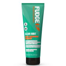 Fudge - Clean Mint Shampoo - 250 ml