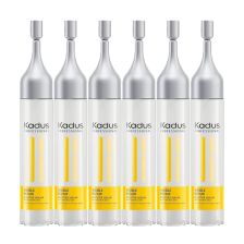 Kadus - Visible Repair - Booster Serum - 6x10 ml