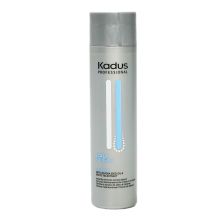 Kadus - Scalp - Purifying Shampoo - 250 ml