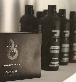 Alfaparf Blends of Many