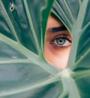 Blog: Vegan haarverzorging. Wat is een vegan haarproduct?