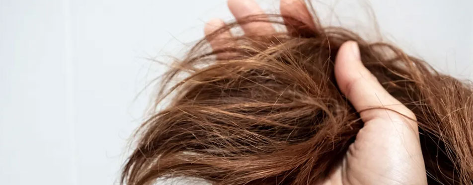 15 Tipps, um strapaziertes Haar zu pflegen